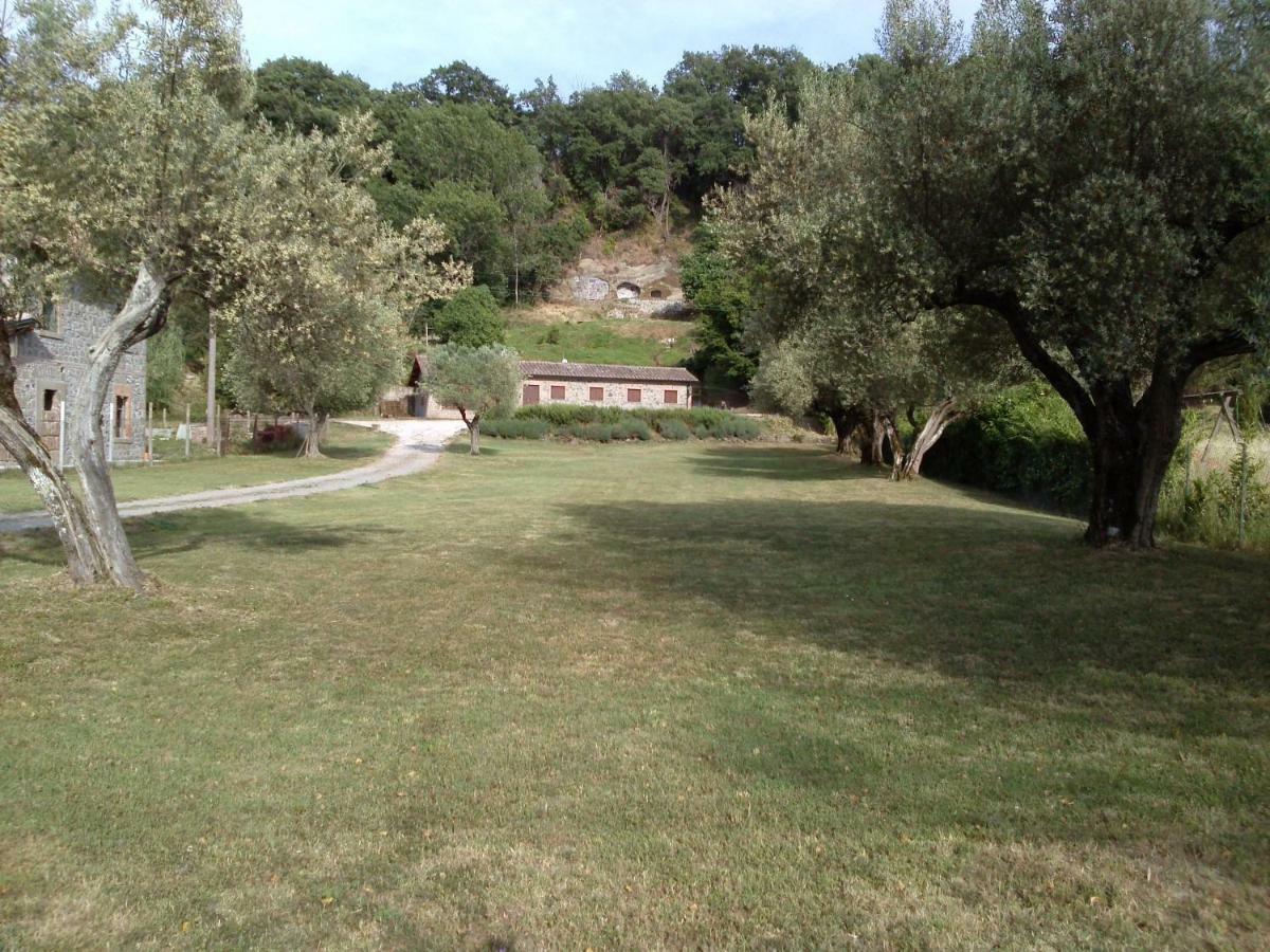 Casa Sorgente Apartment Montefiascone Bagian luar foto